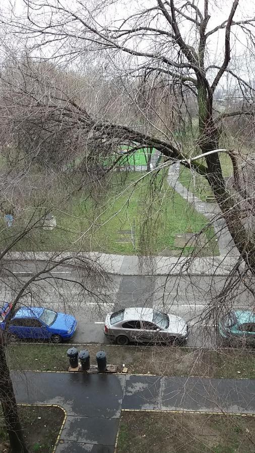 Szava Angel Apartman Budapest Kültér fotó