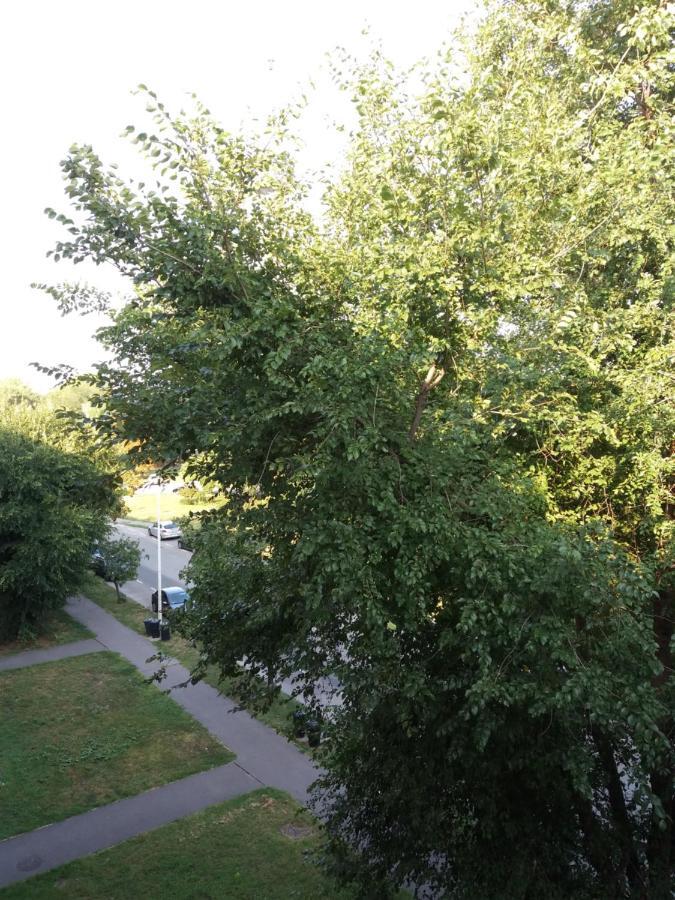 Szava Angel Apartman Budapest Kültér fotó